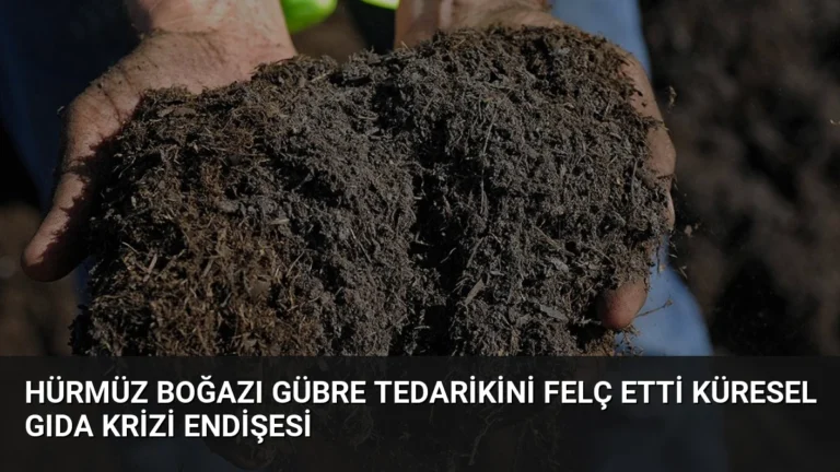 Hürmüz Boğazı Gübre Tedarikini Felç Etti Küresel Gıda Krizi Endişesi