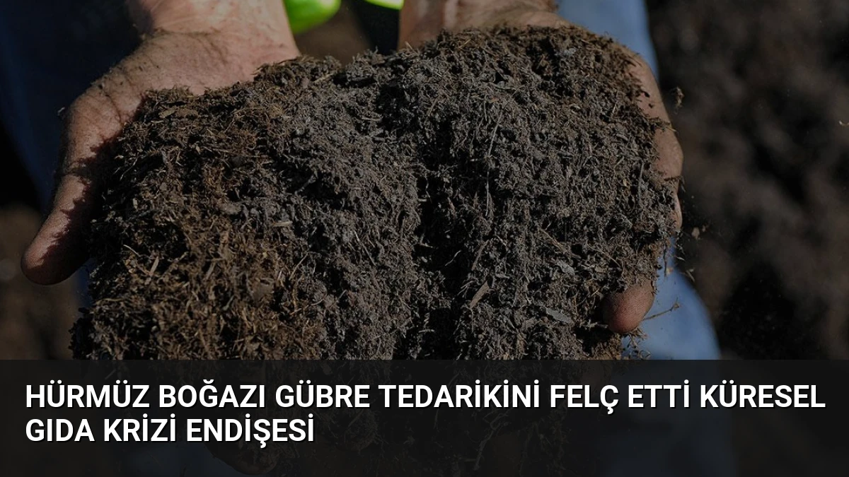 Hürmüz Boğazı Gübre Tedarikini Felç Etti Küresel Gıda Krizi Endişesi