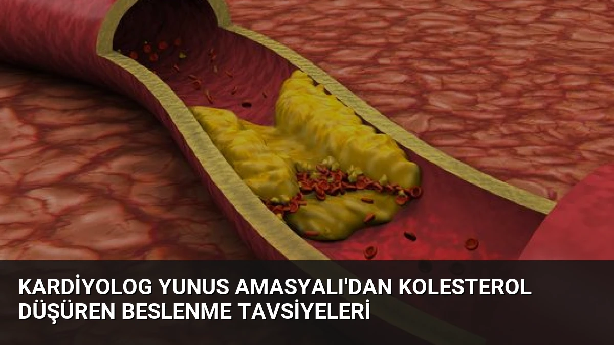 Kardiyolog Yunus Amasyalı’dan Kolesterol Düşüren Beslenme Tavsiyeleri