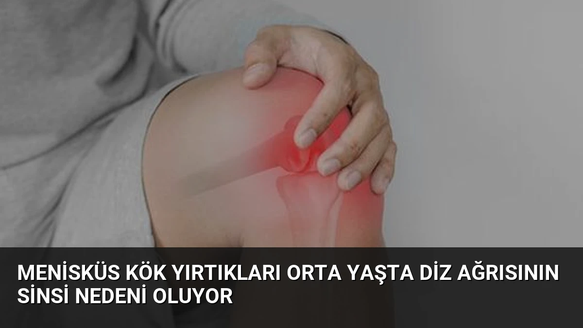 Menisküs Kök Yırtıkları Orta Yaşta Diz Ağrısının Sinsi Nedeni Oluyor