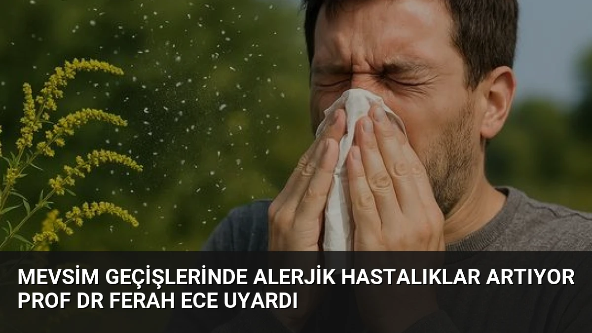 Mevsim Geçişlerinde Alerjik Hastalıklar Artıyor Prof Dr Ferah Ece Uyardı