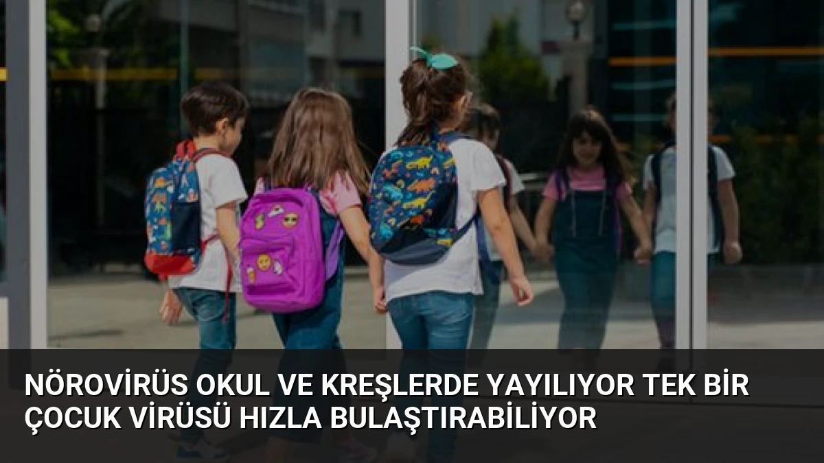 Nörovirüs Okul ve Kreşlerde Yayılıyor Tek Bir Çocuk Virüsü Hızla Bulaştırabiliyor