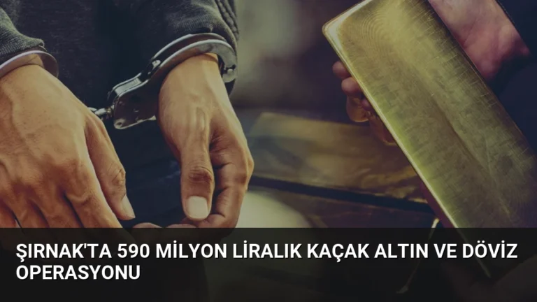 Şırnak’ta 590 Milyon Liralık Kaçak Altın ve Döviz Operasyonu
