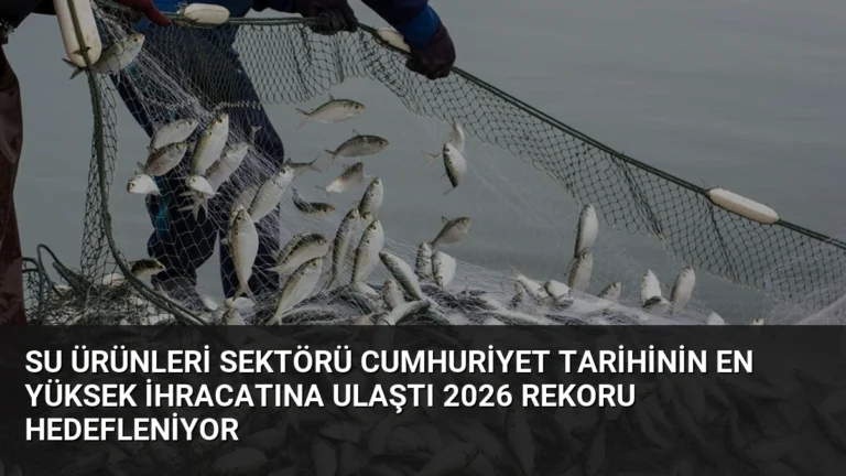 Su Ürünleri Sektörü Cumhuriyet Tarihinin En Yüksek İhracatına Ulaştı 2026 Rekoru Hedefleniyor