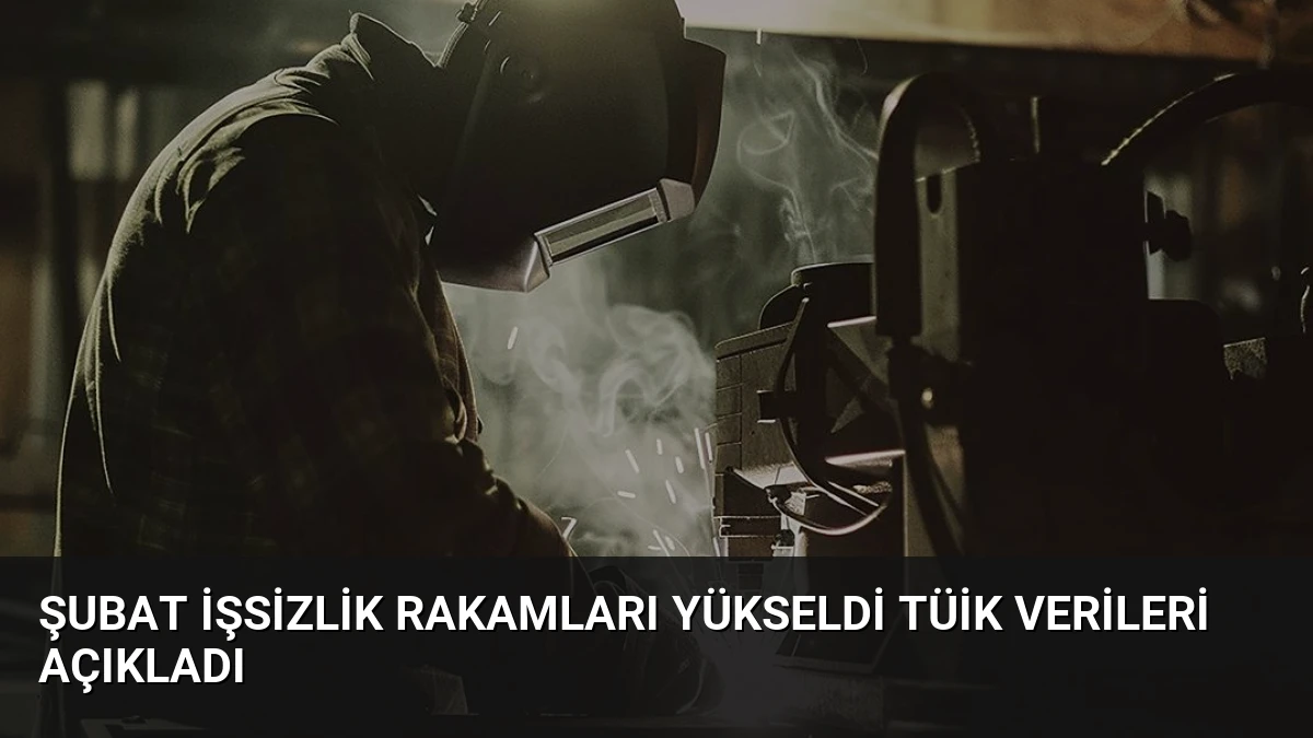 Şubat İşsizlik Rakamları Yükseldi TÜİK Verileri Açıkladı