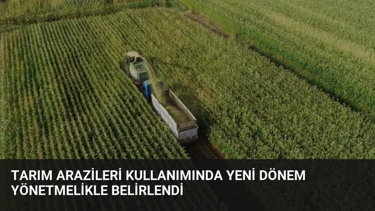 Tarım Arazileri Kullanımında Yeni Dönem Yönetmelikle Belirlendi
