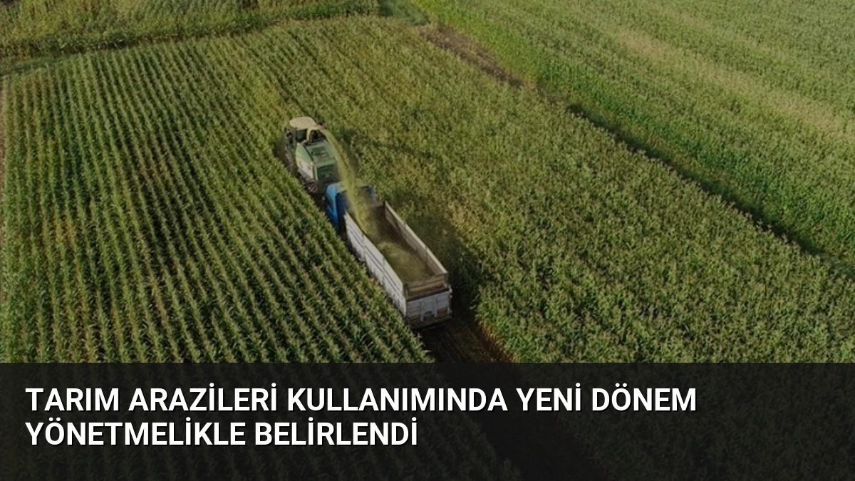 Tarım Arazileri Kullanımında Yeni Dönem Yönetmelikle Belirlendi