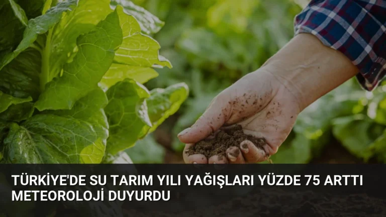 Türkiye’de Su Tarım Yılı Yağışları Yüzde 75 Arttı Meteoroloji Duyurdu