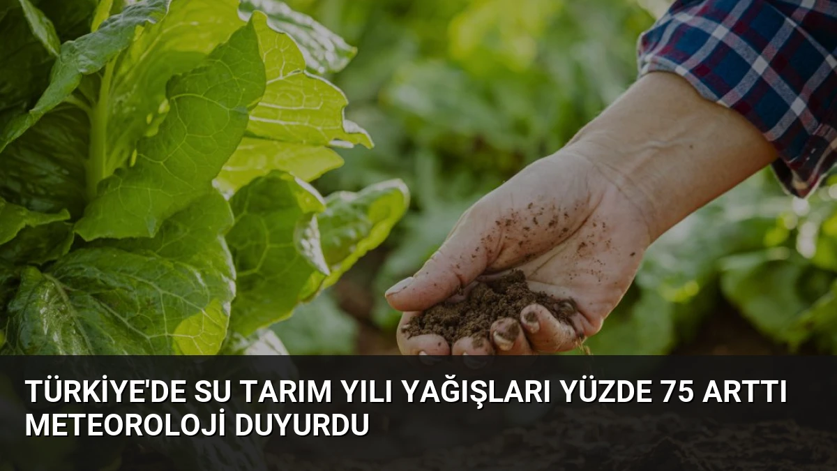 Türkiye’de Su Tarım Yılı Yağışları Yüzde 75 Arttı Meteoroloji Duyurdu