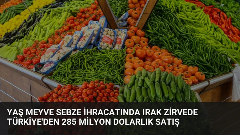 Yaş Meyve Sebze İhracatında Irak Zirvede Türkiye’den 285 Milyon Dolarlık Satış