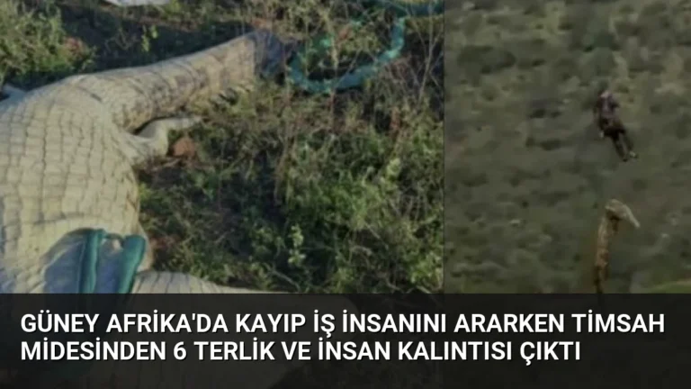 Güney Afrika’da Kayıp İş İnsanını Ararken Timsah Midesinden 6 Terlik ve İnsan Kalıntısı Çıktı