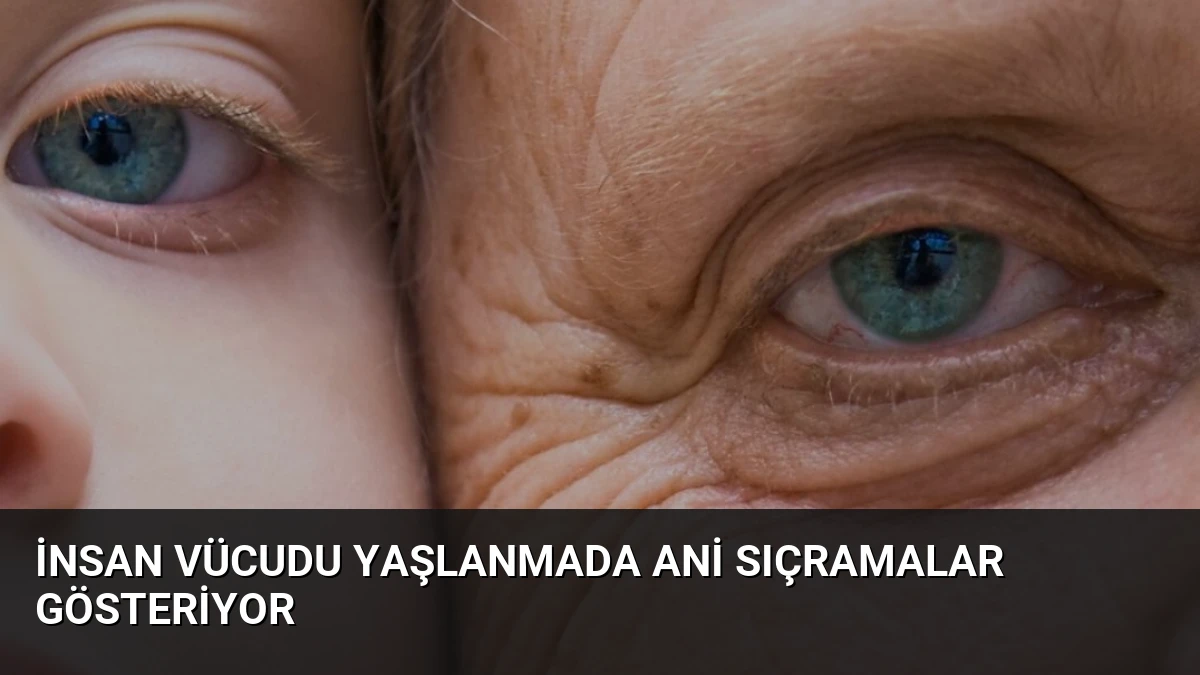 İnsan Vücudu Yaşlanmada Ani Sıçramalar Gösteriyor