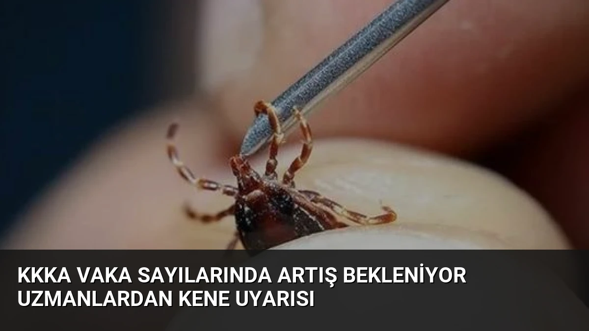 KKKA Vaka Sayılarında Artış Bekleniyor Uzmanlardan Kene Uyarısı