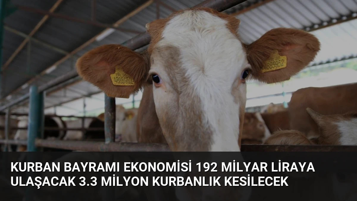 Kurban Bayramı Ekonomisi 192 Milyar Liraya Ulaşacak 3.3 Milyon Kurbanlık Kesilecek
