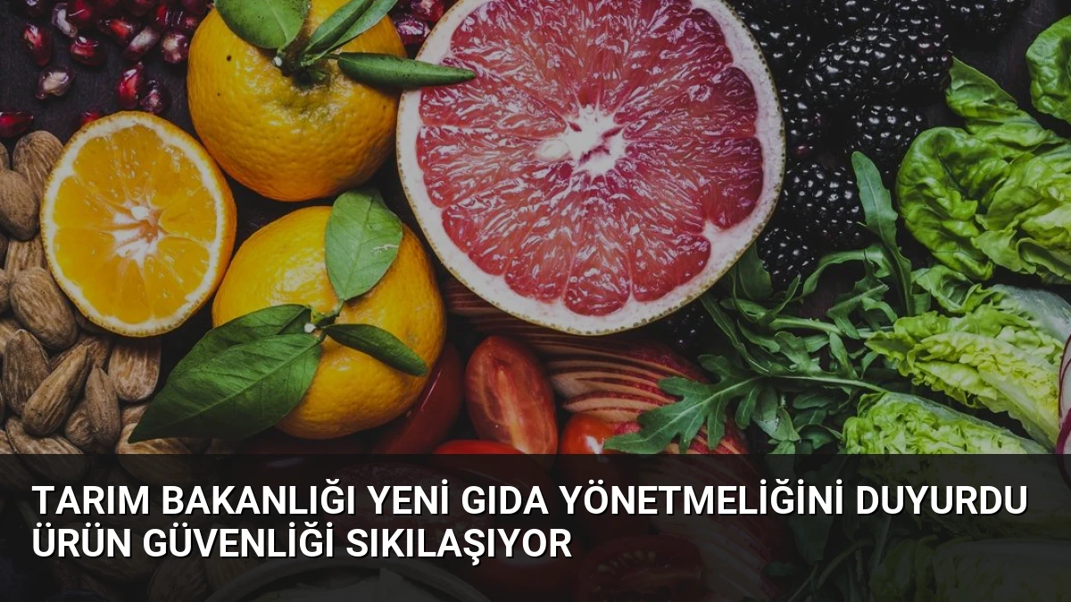 Tarım Bakanlığı Yeni Gıda Yönetmeliğini Duyurdu Ürün Güvenliği Sıkılaşıyor