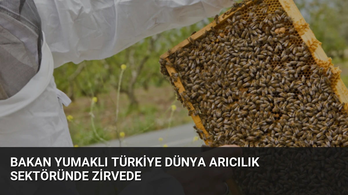 Bakan Yumaklı Türkiye Dünya Arıcılık Sektöründe Zirvede