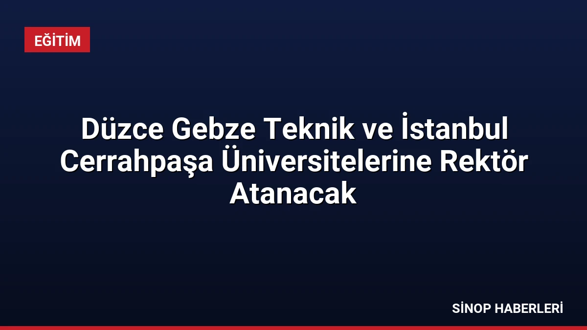 Düzce Gebze Teknik ve İstanbul Cerrahpaşa Üniversitelerine Rektör Atanacak