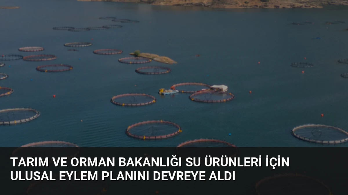 Tarım ve Orman Bakanlığı Su Ürünleri İçin Ulusal Eylem Planını Devreye Aldı