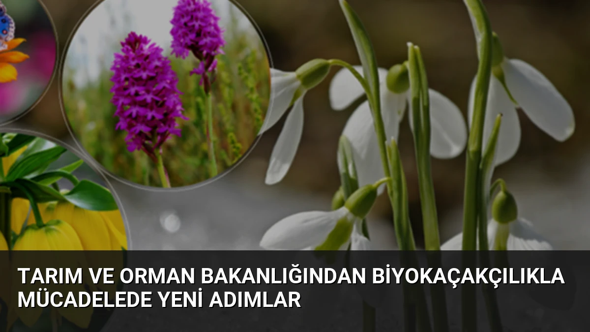 Tarım ve Orman Bakanlığından Biyokaçakçılıkla Mücadelede Yeni Adımlar