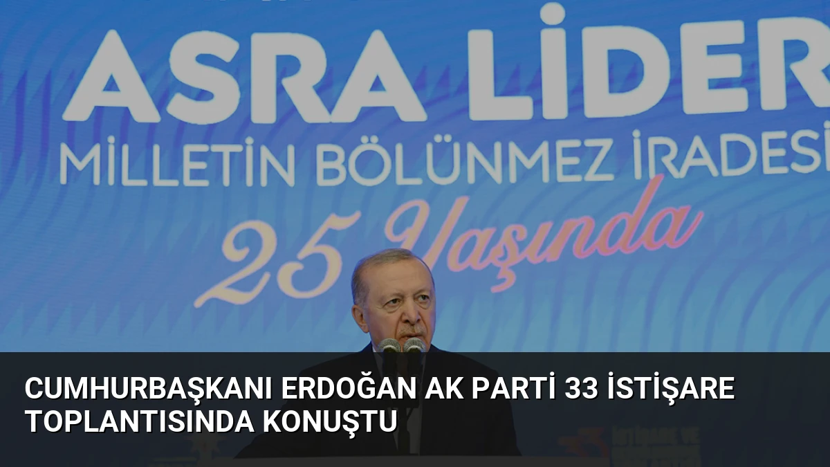 Cumhurbaşkanı Erdoğan AK Parti 33 İstişare Toplantısında Konuştu