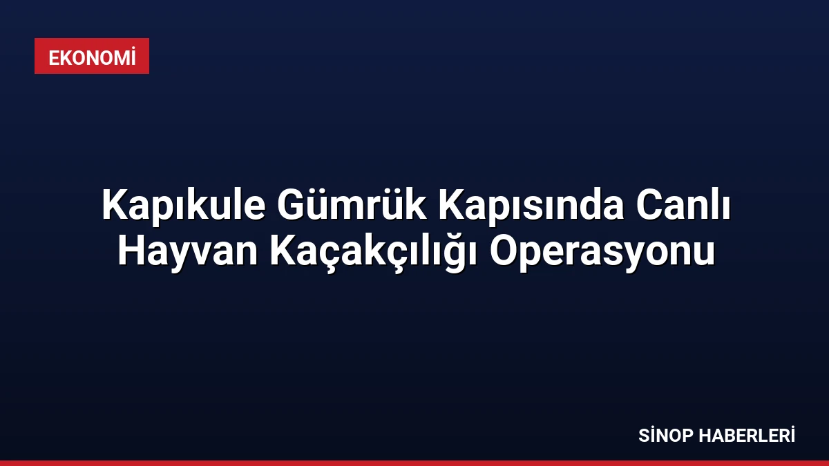 Kapıkule Gümrük Kapısında Canlı Hayvan Kaçakçılığı Operasyonu