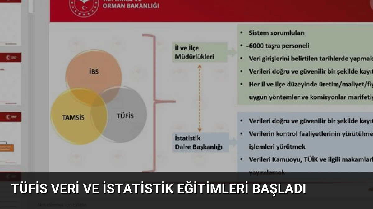 TÜFİS Veri ve İstatistik Eğitimleri Başladı