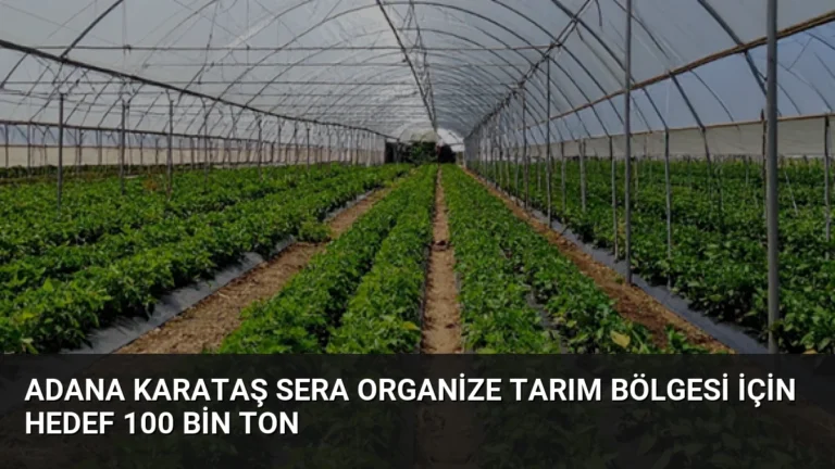 Adana Karataş Sera Organize Tarım Bölgesi İçin Hedef 100 Bin Ton