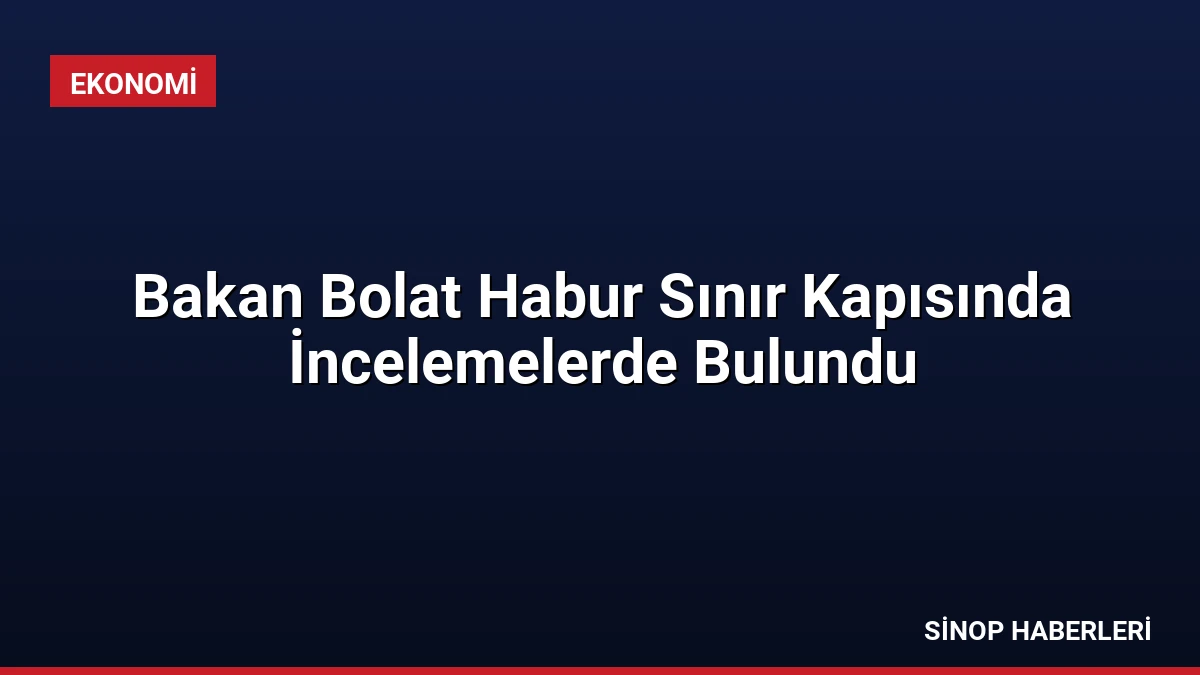 Bakan Bolat Habur Sınır Kapısında İncelemelerde Bulundu