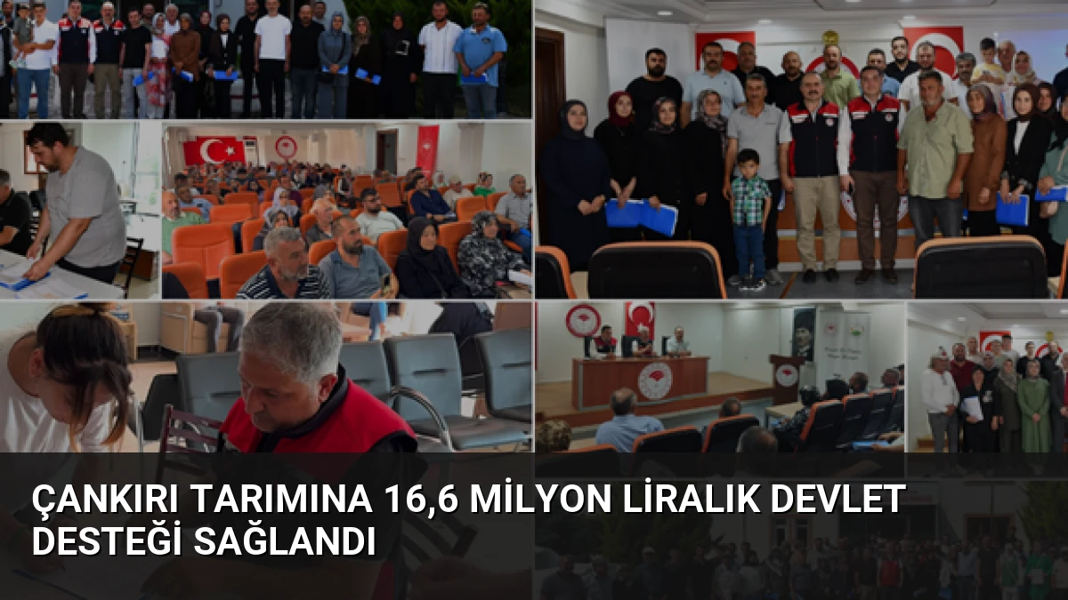 Çankırı tarımına 16,6 milyon liralık devlet desteği sağlandı