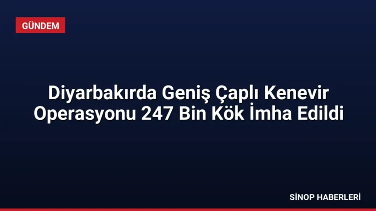 Diyarbakırda Geniş Çaplı Kenevir Operasyonu 247 Bin Kök İmha Edildi