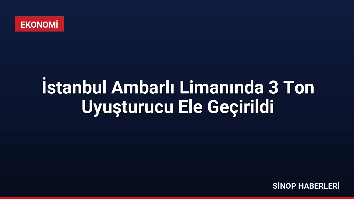 İstanbul Ambarlı Limanında 3 Ton Uyuşturucu Ele Geçirildi