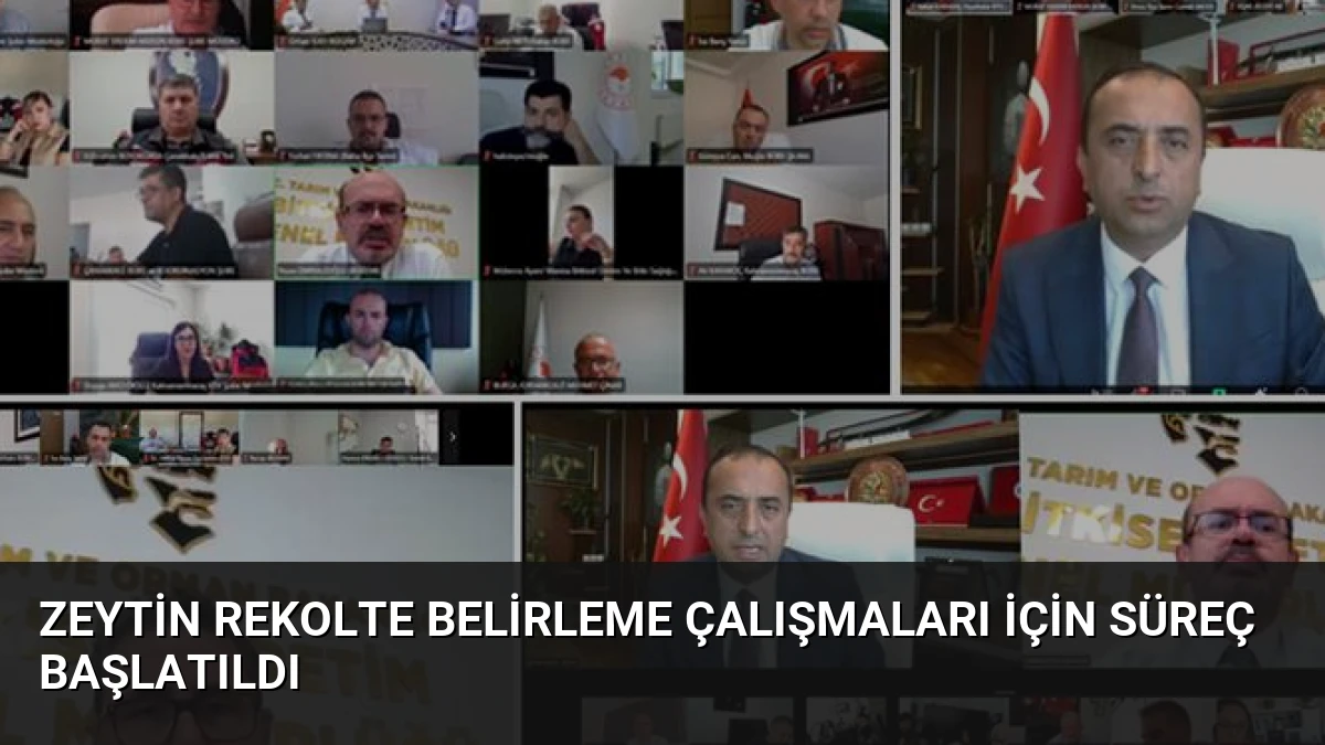 Zeytin Rekolte Belirleme Çalışmaları İçin Süreç Başlatıldı