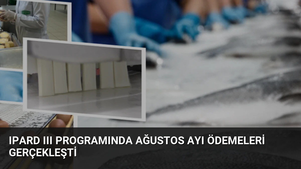 IPARD III Programında Ağustos Ayı Ödemeleri Gerçekleşti