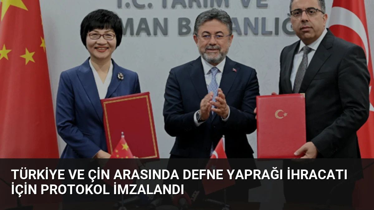 Türkiye ve Çin Arasında Defne Yaprağı İhracatı İçin Protokol İmzalandı