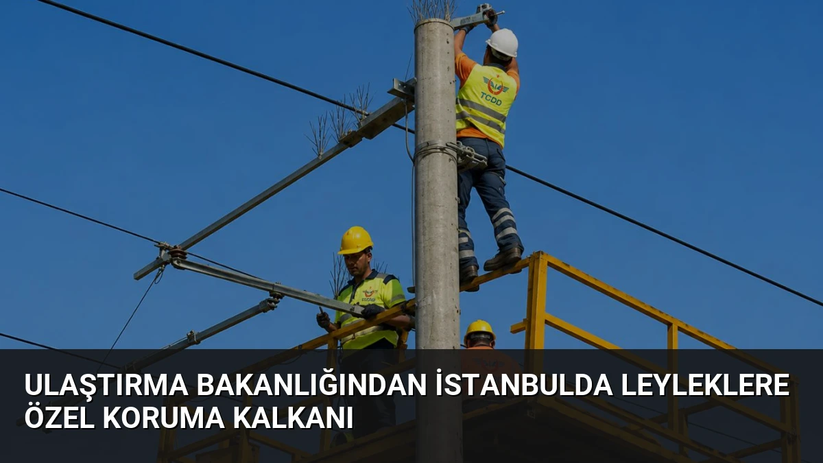 Ulaştırma Bakanlığından İstanbulda Leyleklere Özel Koruma Kalkanı