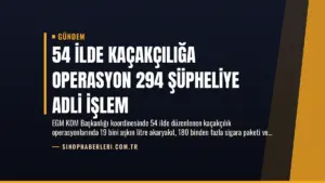 54 İlde Kaçakçılığa Operasyon 294 Şüpheliye Adli İşlem