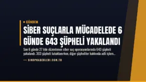 Siber Suçlarla Mücadelede 6 Günde 643 Şüpheli Yakalandı